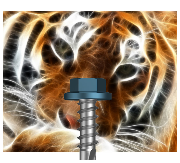 DRiLLX Painted fasteners category