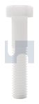 HEX HEAD BOLT NYL HEX BLT:1/4UNCX  2