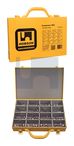BOLT NUT WASHER M8 & M10 316 BNW-SW ASSORT KIT: M8-10