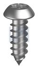 304 P/TORX T15 BSTS:#8 X 1-1/4