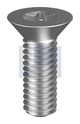 304 P/TORX T30 CHMS: M6 X  50