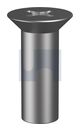 BARREL NUT CSK PHILLIPS 316 BARREL NUT CSK PH3: M6