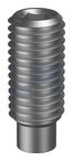 SOCKET SET SCREW DOG POINT PLN SO SSSD: M4 X   6