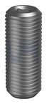 SOCKET SET SCREW PLAIN POINT PLN SO SSSP: 3/4 UNF X   1