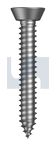 Z/P STS CSK UCUT PH:#08 X  3/4