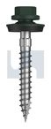 TYPE 17 CYCLONE - MULTISEAL CL4 CG T17 CYC MUL:14-10X 50