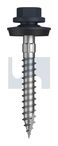 TYPE 17 CYCLONE - MULTISEAL CL4 DO T17 CYC MUL:14-10X 50