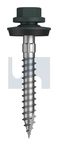 TYPE 17 CYCLONE - MULTISEAL CL4 PL T17 CYC MUL:14-10X 50