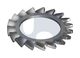 LOCK WASHER EXT SERR TOOTH 304 DIN6798 TYP A EX WASH:M12