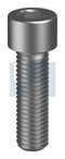 SOCKET HEAD CAP SCREW PLN SO SHCS: 1/2 BSW X   2
