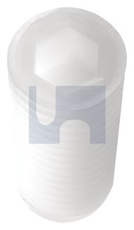 SOCKET GRUB SCREW - HEX NYLON DIN913 GRUB SCRW:M5 X 10 thumbnail 3