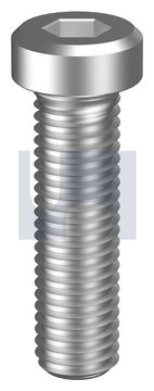 SOCKET LOW HEAD CAP SCREW 304 DIN7984 LHCS: M6 X 16 thumbnail 3