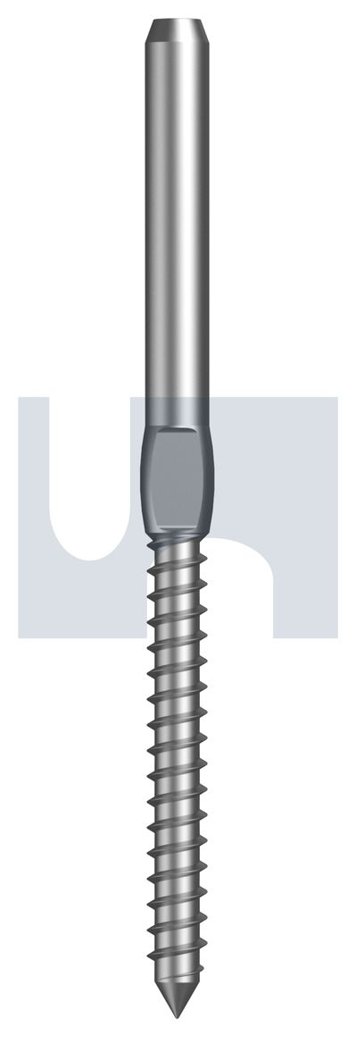 TERMINAL SWAGE LAG SCREW 316 T/SWG R/H LAG SCRW: 3.2 thumbnail 5