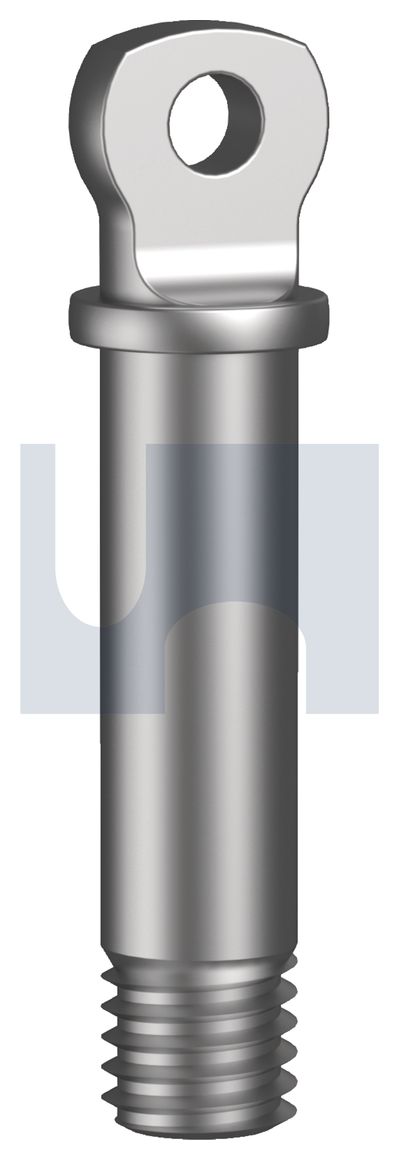 PIN REPLACEMENT SHACKLE 316 SHKLE PIN:M6 thumbnail 5
