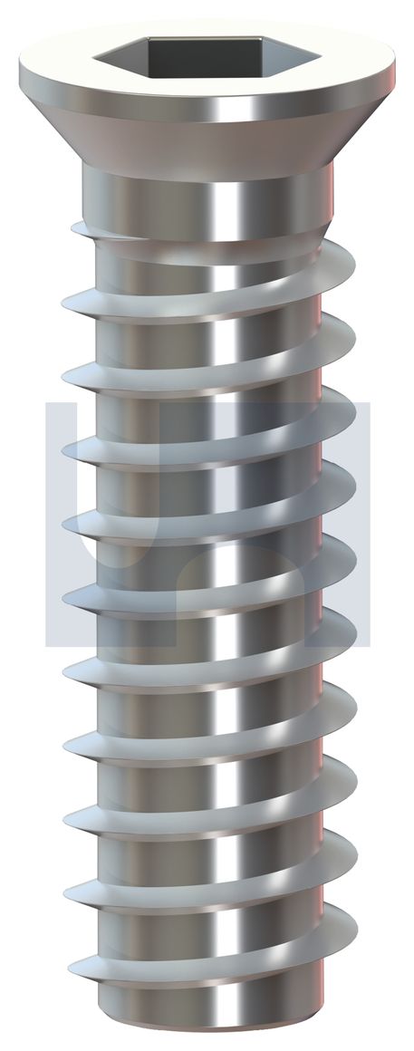 TIMBER INS CSK HEX SOCKET R/H 316 TIMBER INS CSK HX RH: M6 thumbnail 5