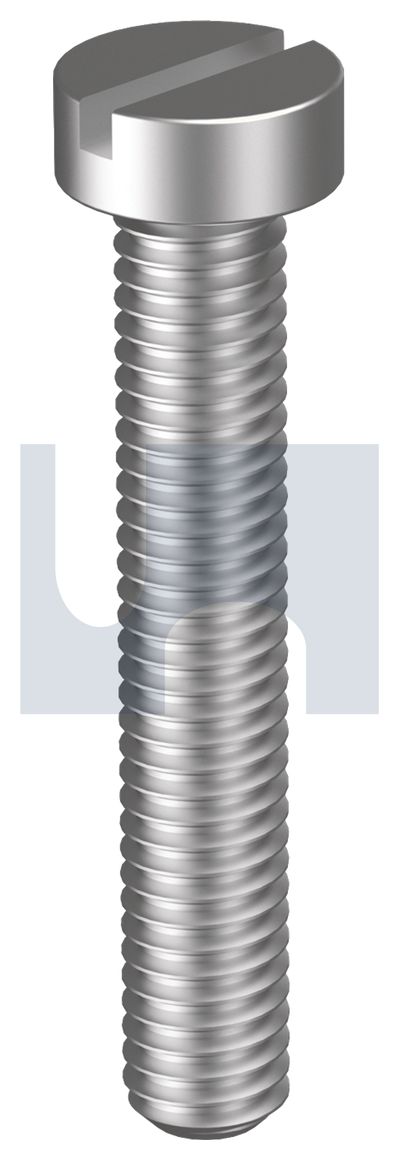 METAL THREAD CHEESE SLOT 304 DIN84 CHS SLT:M3 X  10 thumbnail 5