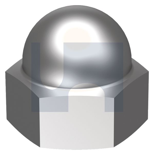 DOME (2PC WELD) HEX NUT 304 2PC WELD A2 DOME NUT: M16 thumbnail 5