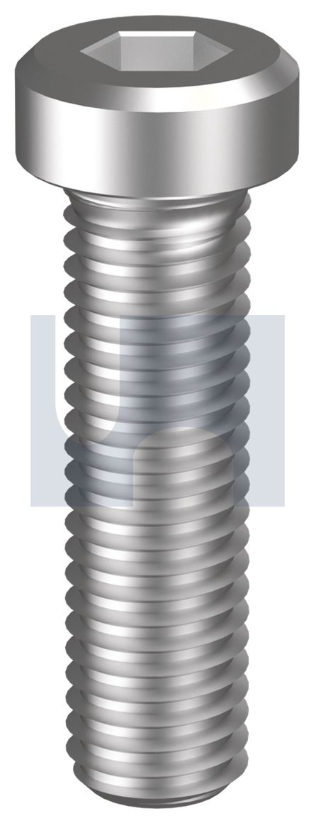 SOCKET LOW HEAD CAP SCREW 304 DIN7984 LHCS: M6 X 16 thumbnail 5