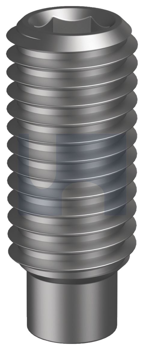 SOCKET SET SCREW DOG POINT PLN SO SSSD: M4 X   6 thumbnail 5