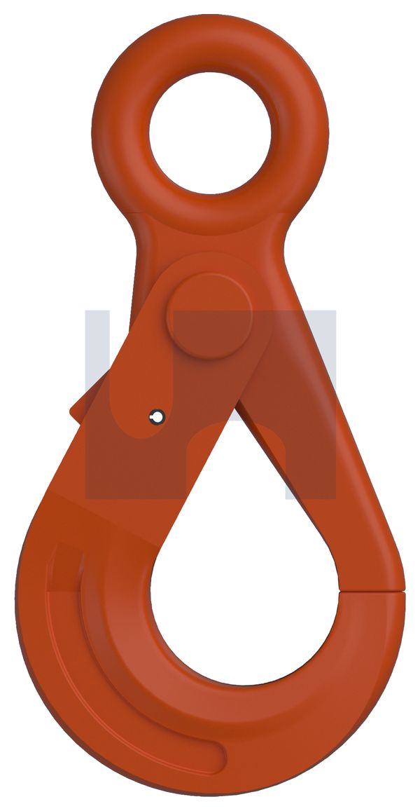 SAFETY HOOK WITH EYE GR100 EYE SAFETY HOOK: 13MM thumbnail 5